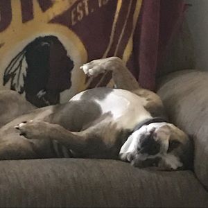 Meet your Posher, Michele